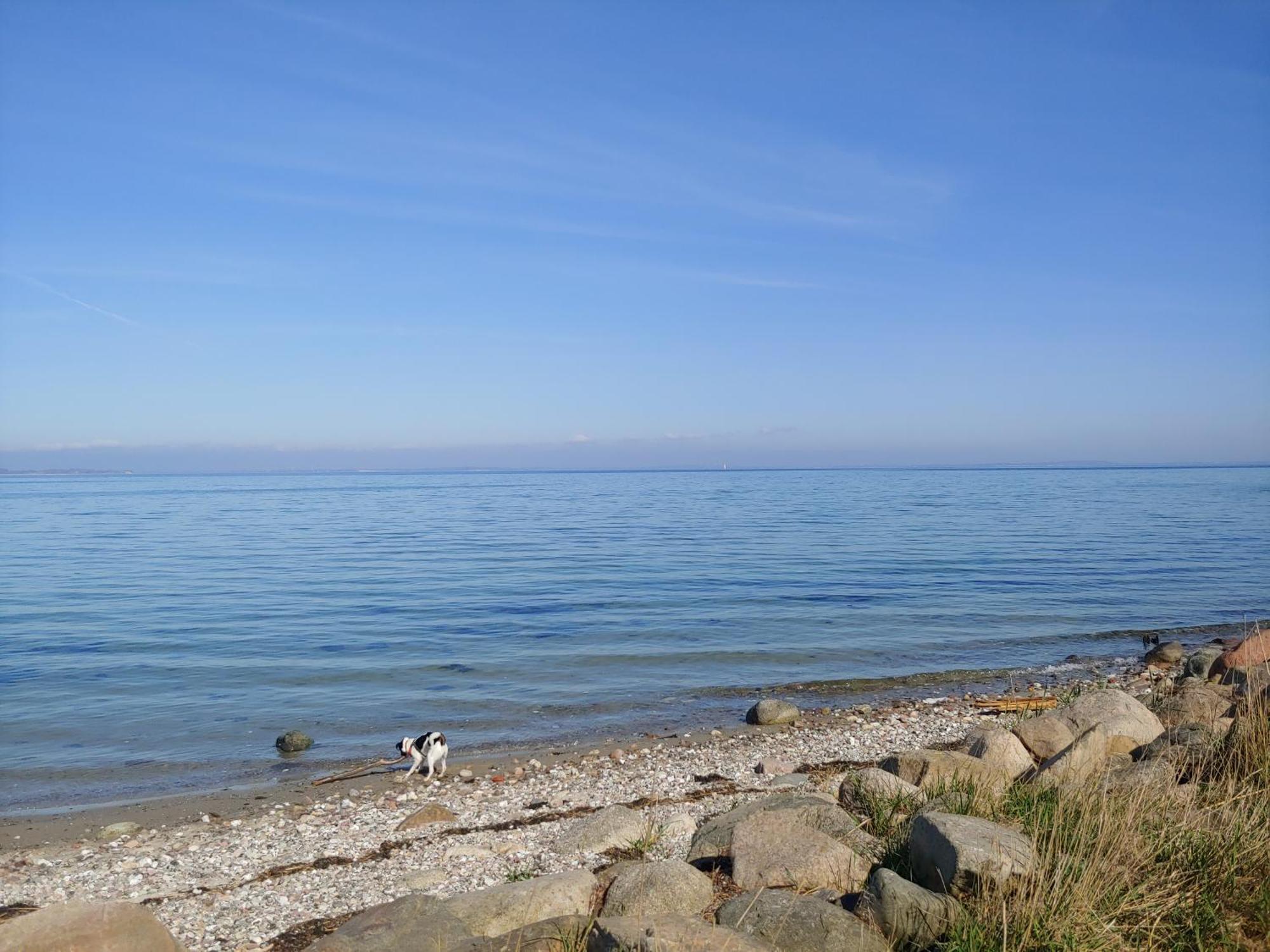 Lungomare Oro, Penthouse Am Yachthafen, Traum Meerblick, Hunde Erwuenscht Kappeln Exterior foto